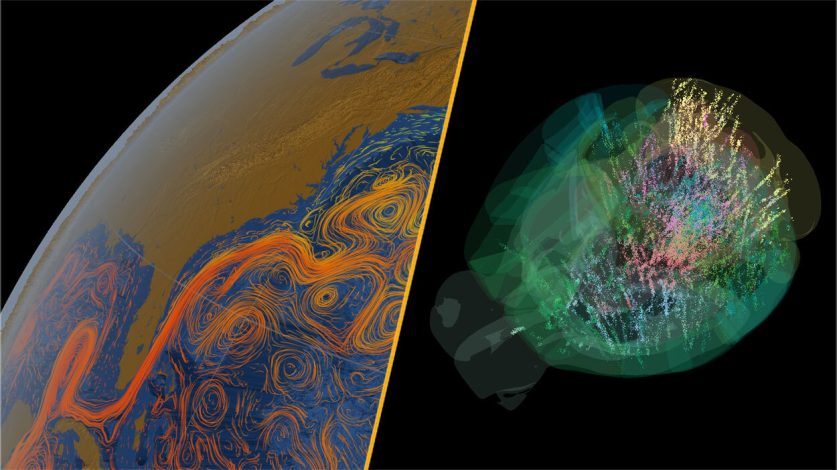 اولین نقشه جامع مغز در حین تصمیم‌گیری؛ ثبت فعالیت ۶۰۰ هزار نورون