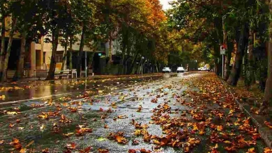 امسال پاییز کم بارانی در پیش داریم 4 امسال پاییز کم بارانی در پیش داریم