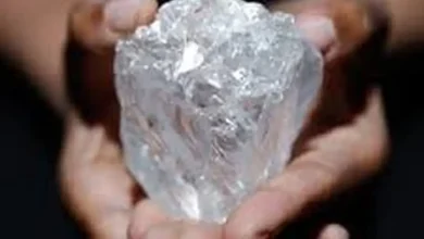 زنی که موفق به کشف یک الماس ۲.۲۳ قیراطی در طبیعت شد 6 زنی که موفق به کشف یک الماس ۲.۲۳ قیراطی در طبیعت شد