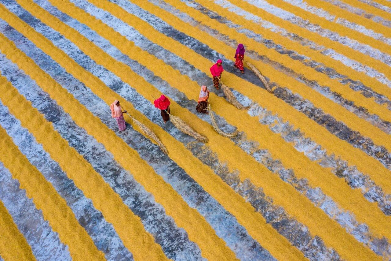 اعلام برندگان مسابقه عکاسی یونسکو؛ یک ایرانی در میان برندگان+ عکسهای برگزیده 7 اعلام برندگان مسابقه عکاسی یونسکو؛ یک ایرانی در میان برندگان+ عکسهای برگزیده