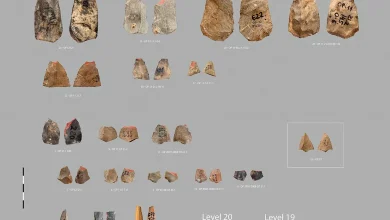 کشف تیرکمانهای باستانی ۸۰ هزارساله در ازبکستان؛ رازهای شکار انسانهای نخستین 9 کشف تیرکمانهای باستانی ۸۰ هزارساله در ازبکستان؛ رازهای شکار انسانهای نخستین