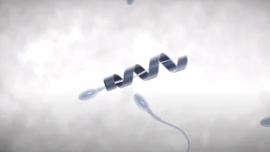 اسپرمرباتها؛ فناوری نوین برای درمان ناباروری 2 اسپرمرباتها؛ فناوری نوین برای درمان ناباروری