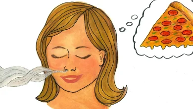 بینی چگونه طعم غذاها را به مغز منتقل میکند؟ 9 بینی چگونه طعم غذاها را به مغز منتقل میکند؟