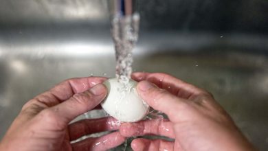 آیا بهتر است تخم مرغ را بشوییم یا نه؟ 4 آیا بهتر است تخم مرغ را بشوییم یا نه؟