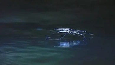 دانشمندان موفق به ساخت رباتهای کوچکی شدهاند که مانند حشرات روی آب شناور میشوند 5 دانشمندان موفق به ساخت رباتهای کوچکی شدهاند که مانند حشرات روی آب شناور میشوند