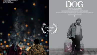 درخشش سینمای کوتاه ایران در لندن؛ «پسلرزه» و «سگ» به جشنواره پورتوبلو راه یافتند 2 درخشش سینمای کوتاه ایران در لندن؛ «پسلرزه» و «سگ» به جشنواره پورتوبلو راه یافتند