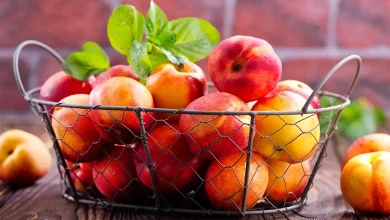 با میوه شلیل به تصفیه خون و تقویت کبد کمک کنید