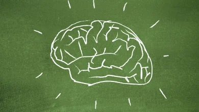 فرمول استیو جابز برای «باهوشتر شدن» 10 فرمول استیو جابز برای «باهوشتر شدن»