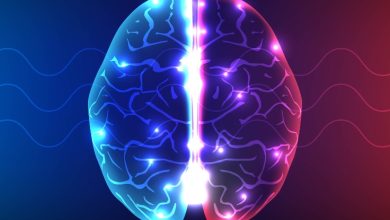 فناوری جدید مغز را بدون جراحی هدفگیری میکند 4 فناوری جدید مغز را بدون جراحی هدفگیری میکند