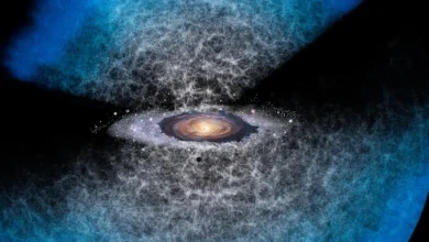 شبیهساز جدیدی که نقشه کیهان را روی یک لپتاپ ترسیم میکند 6 شبیهساز جدیدی که نقشه کیهان را روی یک لپتاپ ترسیم میکند