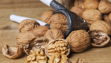 خوراکیهایی که مغز شما را در برابر زوال شناختی محافظت میکنند 10 خوراکیهایی که مغز شما را در برابر زوال شناختی محافظت میکنند