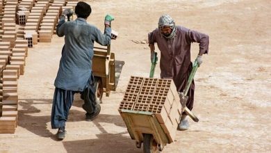 استخدام نیروی کار افغان قانونی شد 3 استخدام نیروی کار افغان قانونی شد