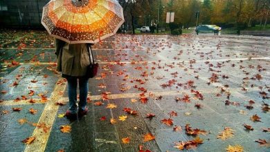 ساکنان این مناطق در انتظار بارش باران باشند 4 ساکنان این مناطق در انتظار بارش باران باشند
