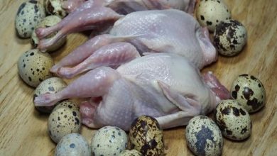 قیمت جدید گوشت و تخم بلدرچین اعلام شد