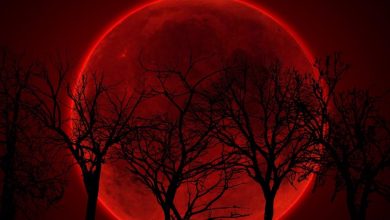 اولین عکس از ماه گرفتگی 16 شهریور منتشر شد +عکس 10 اولین عکس از ماه گرفتگی 16 شهریور منتشر شد