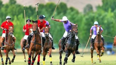 محتوای مربوط به ورزش چوگان به کتب درسی افزوده می‌شود