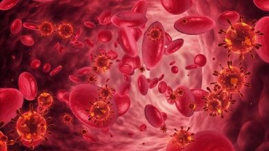 هرآنچه باید درباره کم خونی، علائم و عوارض آن بدانید 2 هرآنچه باید درباره کم خونی، علائم و عوارض آن بدانید