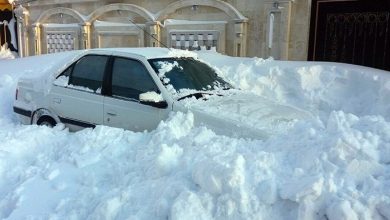هشدار بارش برف و باران در ارتفاعات البرز 5 هشدار بارش برف و باران در ارتفاعات البرز