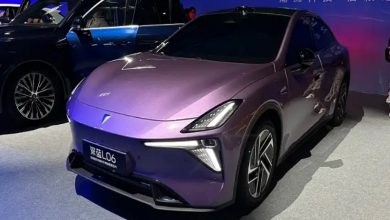 چانگان دیپال L06