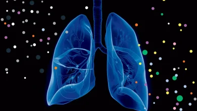 با این خوراکیها ریههایتان را قوی و سالم نگه دارید 8 با این خوراکیها ریههایتان را قوی و سالم نگه دارید