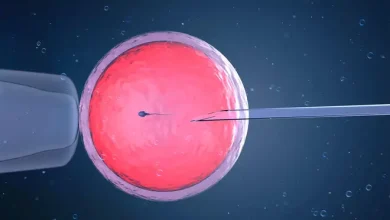پژوهشگران راهی نوین برای بارور کردن تخمکهای مصنوعی پیدا کردند 7 پژوهشگران راهی نوین برای بارور کردن تخمکهای مصنوعی پیدا کردند