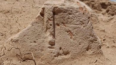 تندیس ۲۵۰۰ ساله از دل خاک ارمنستان سر برآورد 6 تندیس ۲۵۰۰ ساله از دل خاک ارمنستان سر برآورد