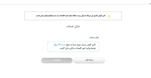 چند ماه بعد از شروع طرح اعطای سهام به نوزادان متولد ۱۴۰۲، سهام نوزادان رسما شارژ شد.
