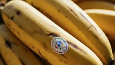 با خوردن این میوه‌ها مشکل نفخ و یبوست را برطرف کنید