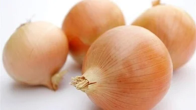 پای پیاز هم به بازار بورس کالا باز شد 5 پای پیاز هم به بازار بورس کالا باز شد