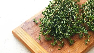 با این چاشنی محبوب نفخ و مشکلات گوارشی را برطرف کنید