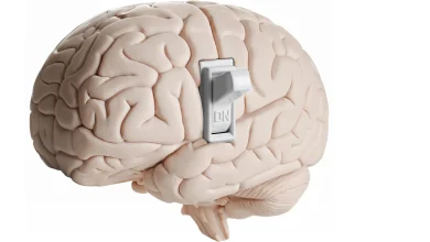 کشف مولکولی که اشتها را در مغز خاموش میکند 6 کشف مولکولی که اشتها را در مغز خاموش میکند