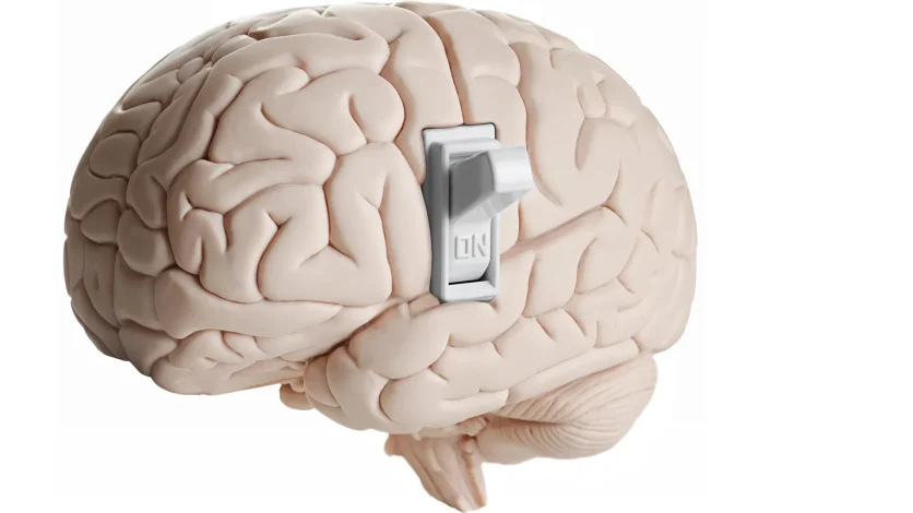 کشف مولکولی که اشتها را در مغز خاموش میکند 1 کشف مولکولی که اشتها را در مغز خاموش میکند