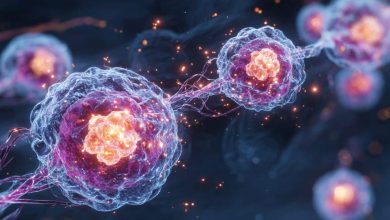 کشف ارتباط مستقیم میان چاقی و آلزایمر 6 کشف ارتباط مستقیم میان چاقی و آلزایمر