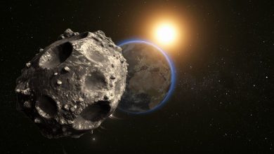 کشف گروهی از سیارکهای پنهان در نزدیکی زهره؛ تهدیدی برای زمین؟ 7 کشف گروهی از سیارکهای پنهان در نزدیکی زهره؛ تهدیدی برای زمین؟