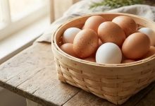 ترفندهای نگهداری تخم مرغ؛ چطور تخممرغ را برای طولانی مدت نگهداریم؟ 14 ترفندهای نگهداری تخم مرغ