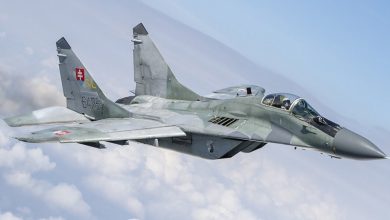 تحویل دو جنگده روسی به ارتش ایران؛ سوخو 27 و میگ 29 از راه رسیدند! 22 تحویل دو جنگده روسی به ارتش ایران