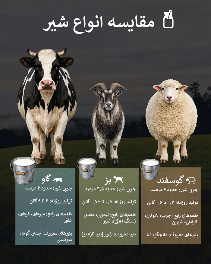 مقایسه شیر گاو، بز و گوسفند