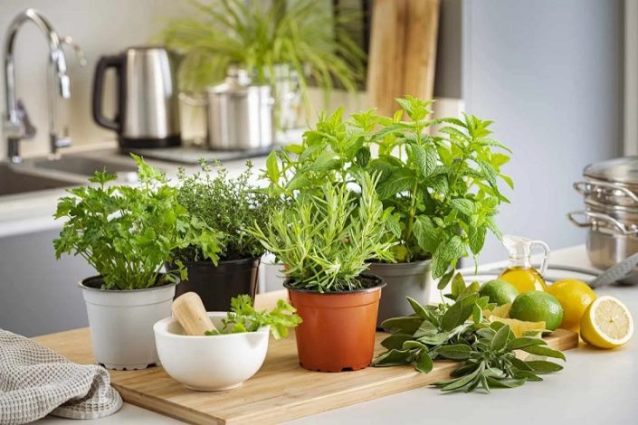 6 ادویه و سبزی مناسب برای جذب ویتامین C +نکات مهم 1 6 ادویه و سبزی مناسب برای جذب ویتامین C