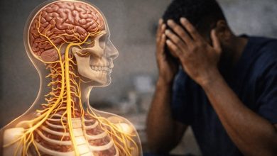 تنظیم سیستم عصبی یعنی چه و چگونه انجام میشود؟ 5 تنظیم سیستم عصبی