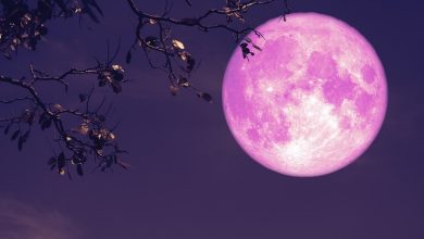 فرصت تماشای ماه توت فرنگی را از دست ندهید