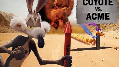 تریلر نهایی فیلم Coyote vs. Acme منتشر شد؛ نسخه لایواکشن میگ میگ! +تاریخ اکران 4 تریلر نهایی فیلم Coyote vs. Acme منتشر شد؛ نسخه لایواکشن میگ میگ! +تاریخ اکران