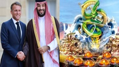 همکاری فرانسه و عربستان برای تاسیس پارک تفریحی دراگون بال
