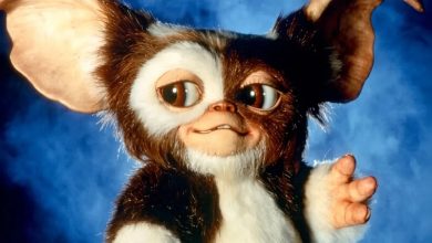 بازگشت مجموعه پرطرفدار: اولین تیزر از فیلم Gremlins 3 منتشر شد +ویدیو 19 اولین تیزر از فیلم Gremlins 3 منتشر شد
